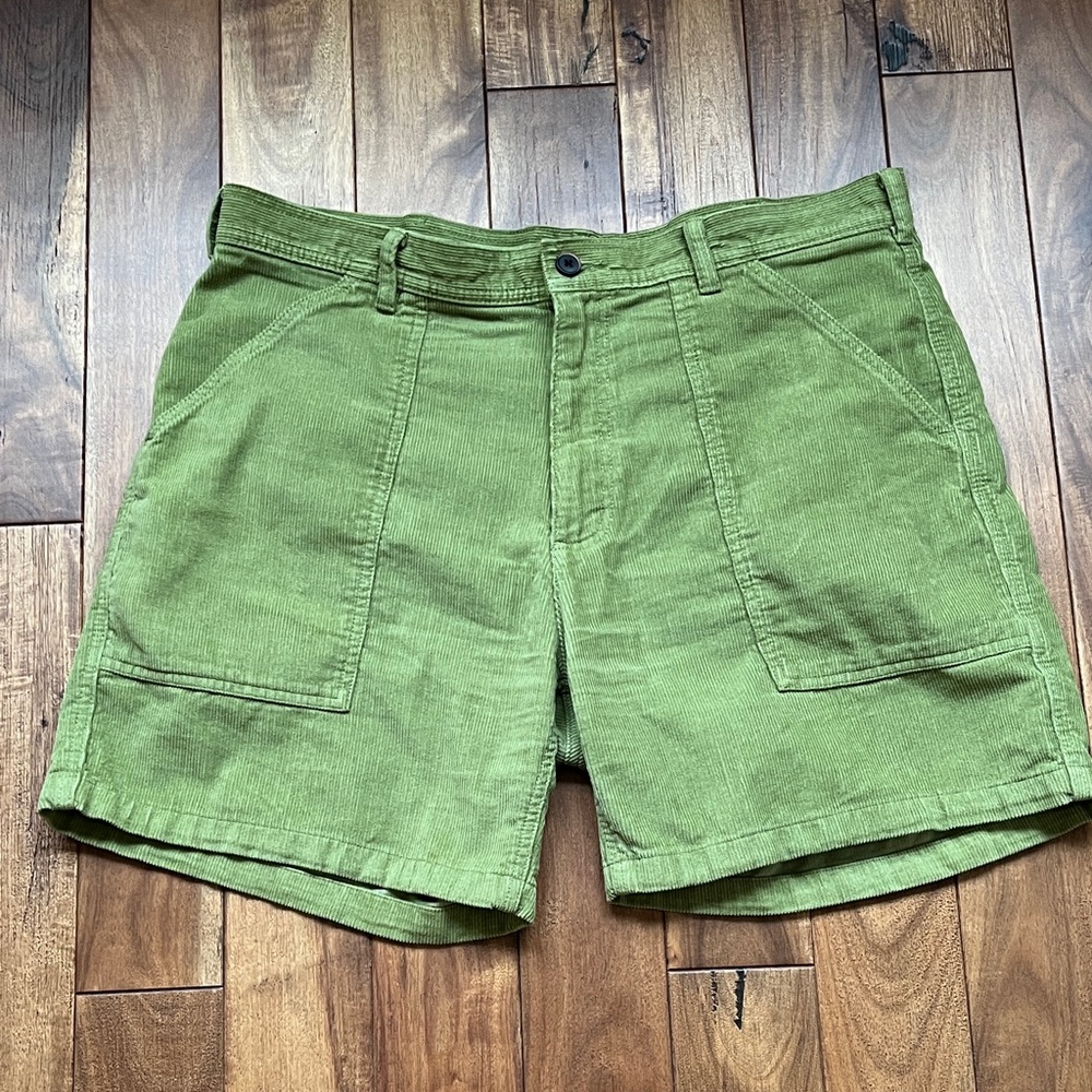 Patagonia cord short